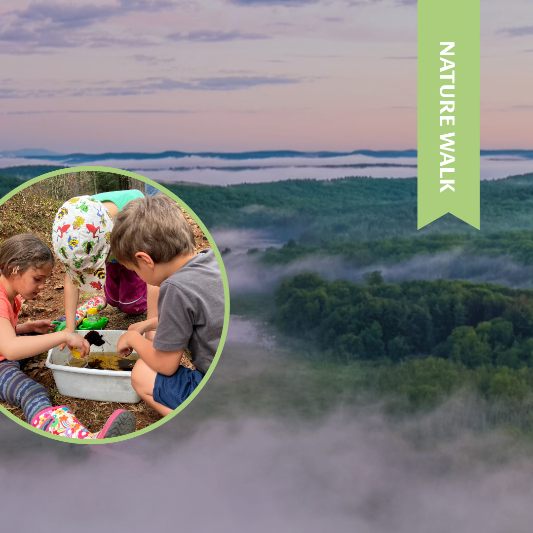 Dog Days Bioblitz: A Family-Oriented Citizen Science Event