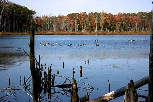 New Trail Shows The Way To Scenic Pond Mount Grace