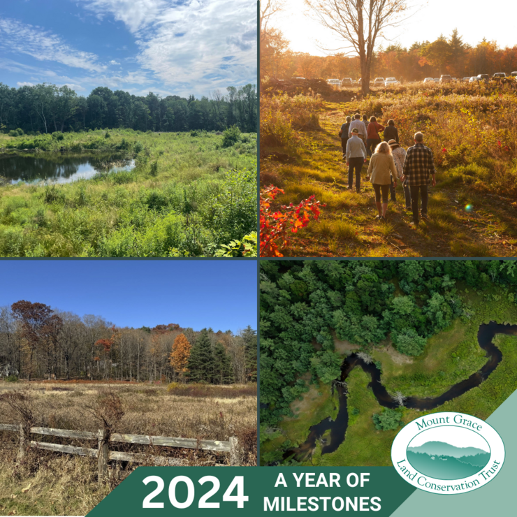 A collage of photos from different conservation projects that Mount Grace completed last year.