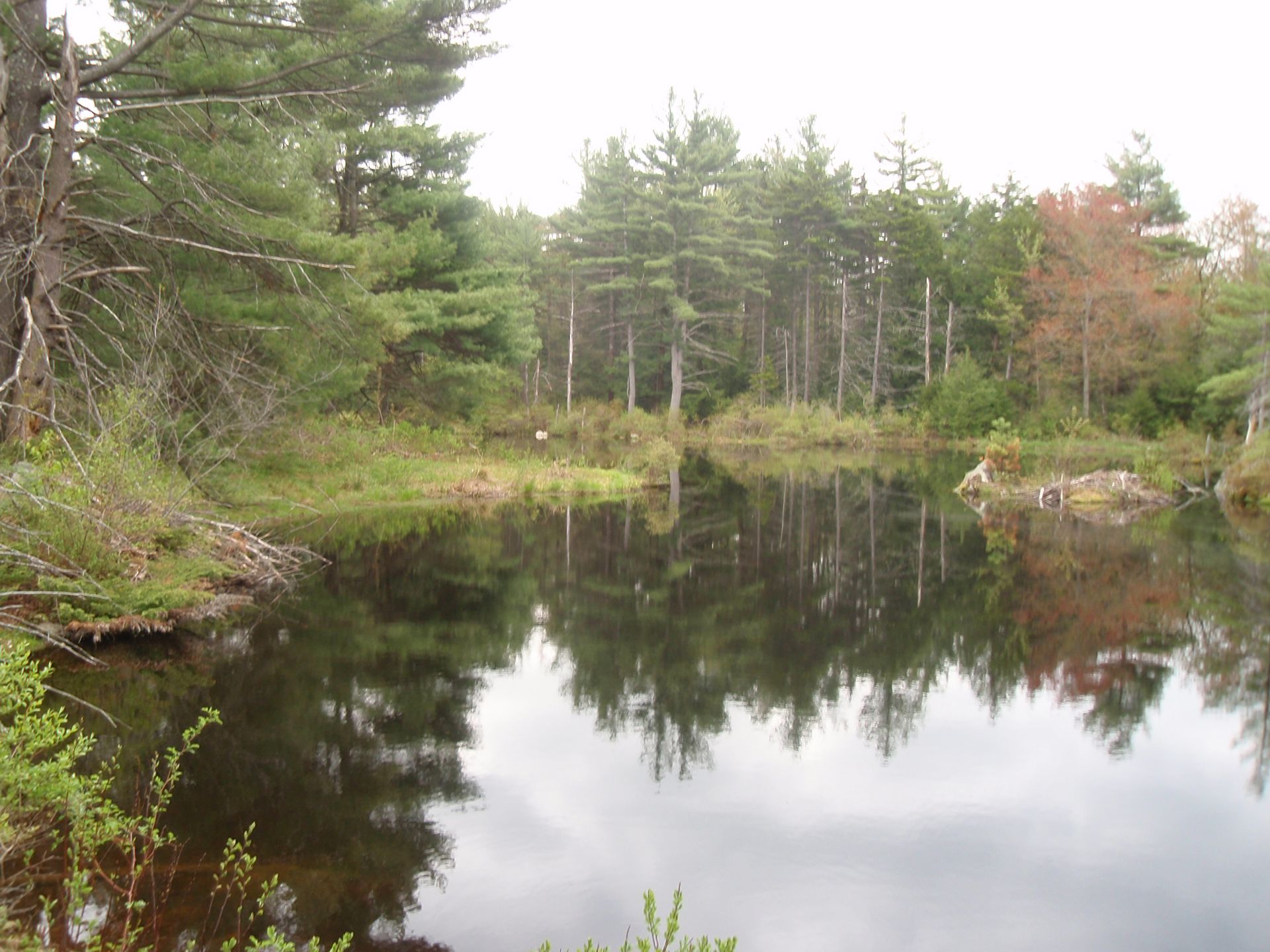 Lake Wampanoag Wildlife Sanctuary CR - Mount Grace