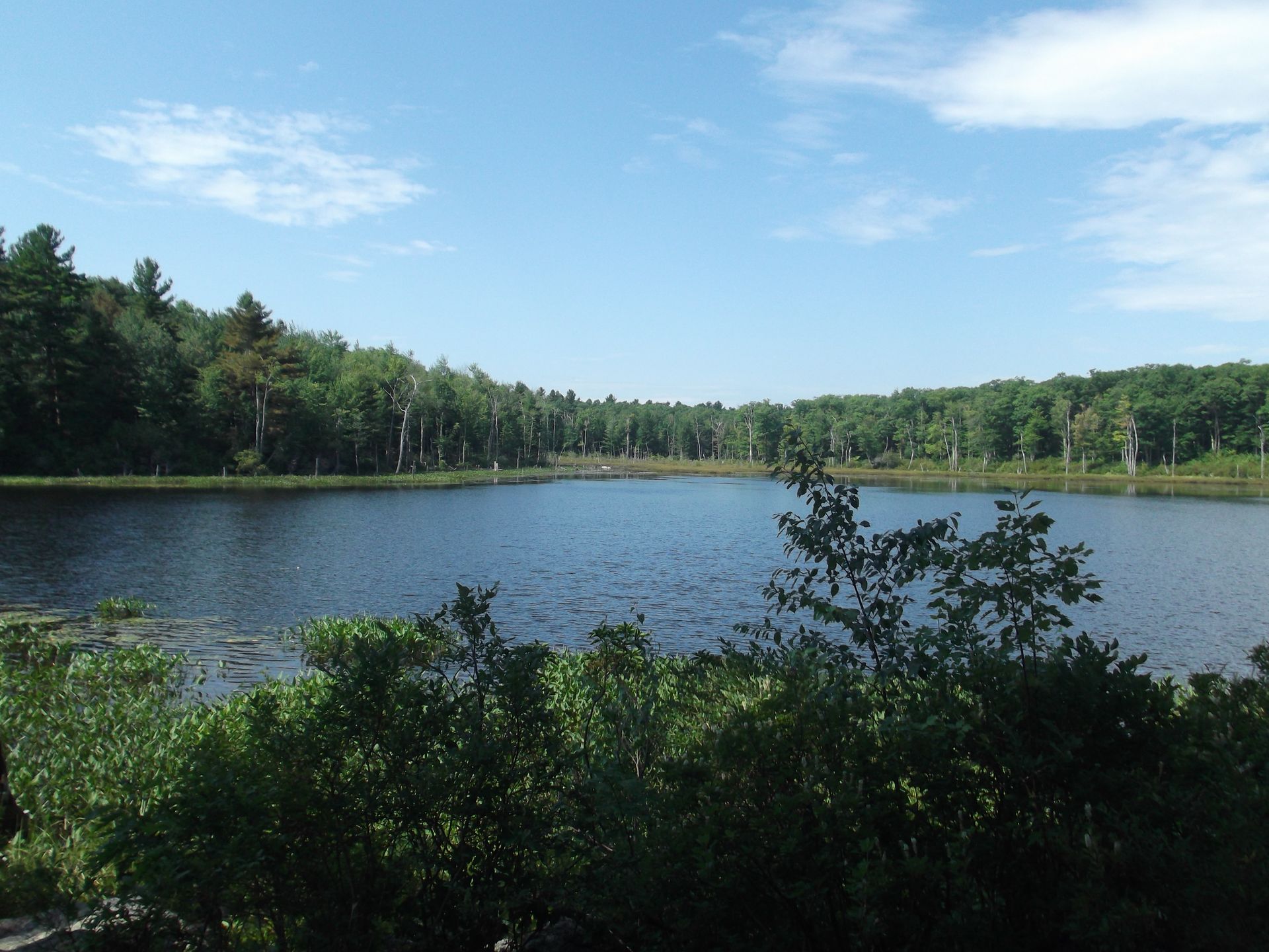 Muddy Pond - Mount Grace