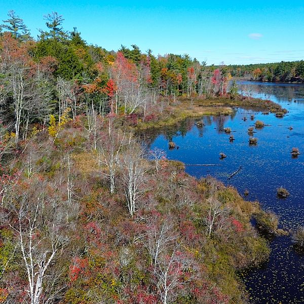 ??????????????????????????