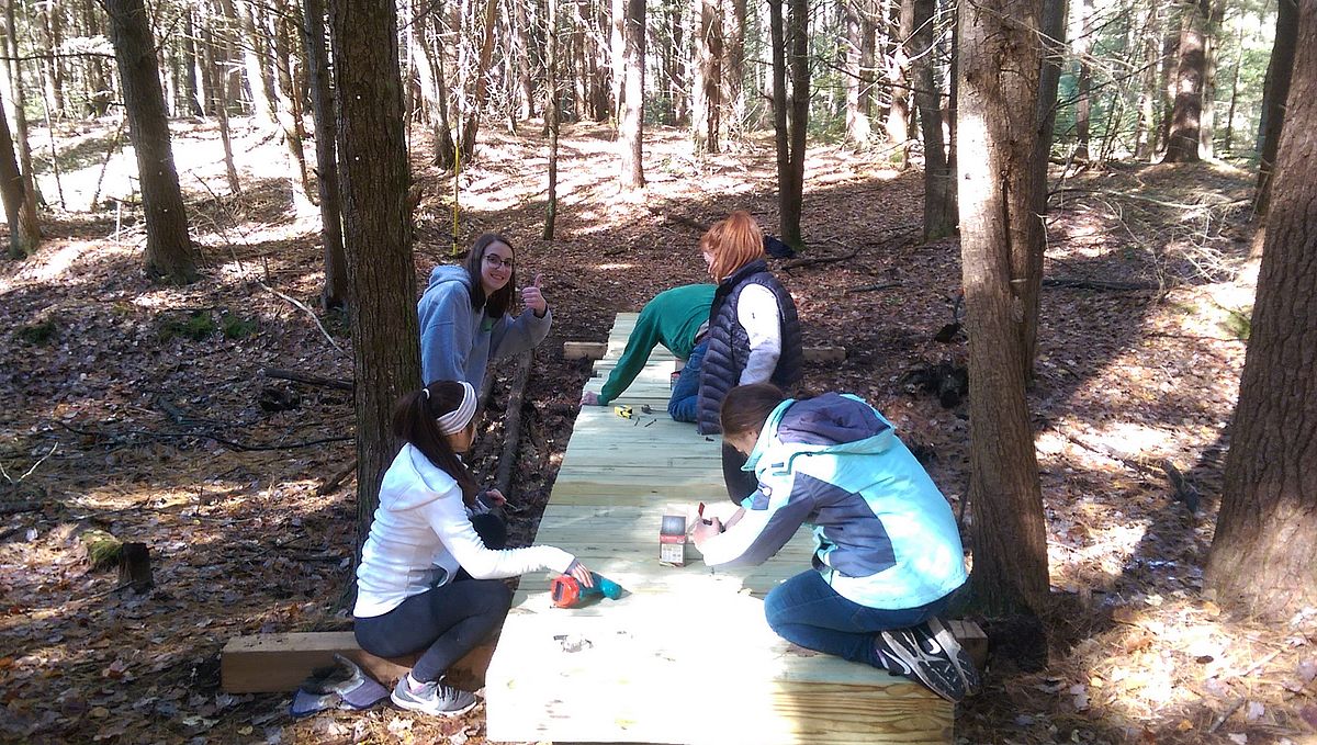 Building Bridges: In the Woods and in the Classroom - Mount Grace