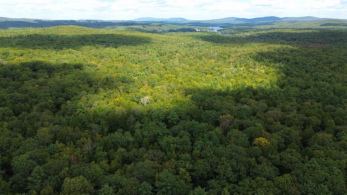 ??????????????????????????