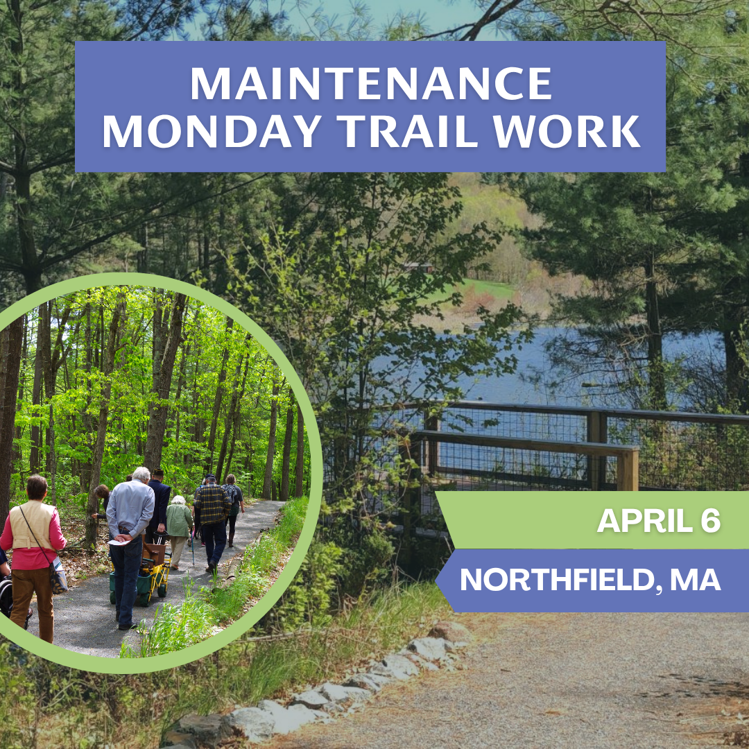 Maintenance Monday at Alderbrook