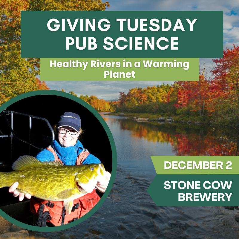 Giving Tuesday Pub Science – Healthy Rivers in a Warming Planet