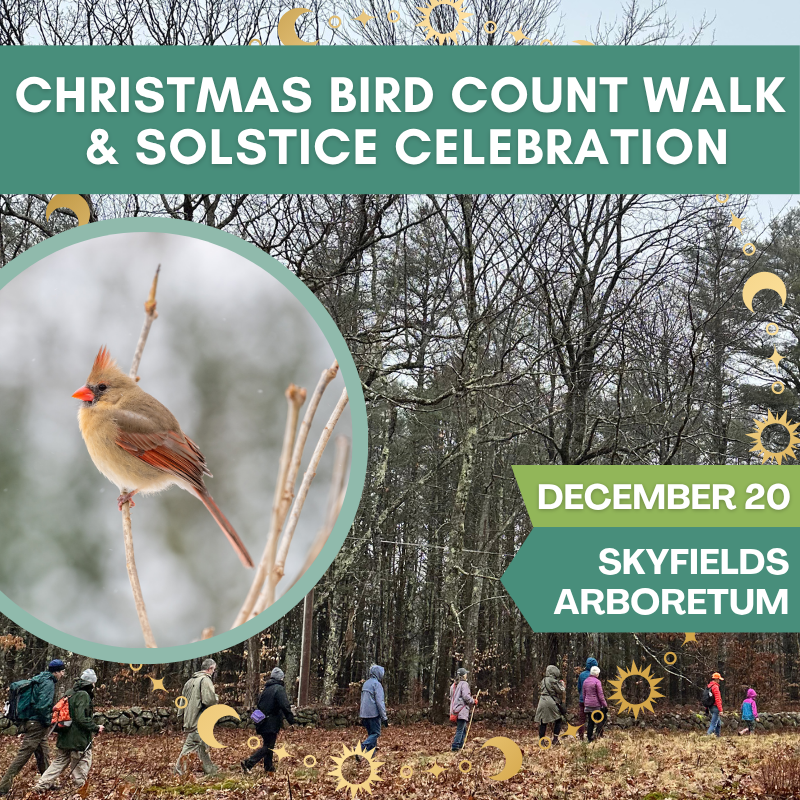 Christmas Bird Count Walk & Solstice Celebration