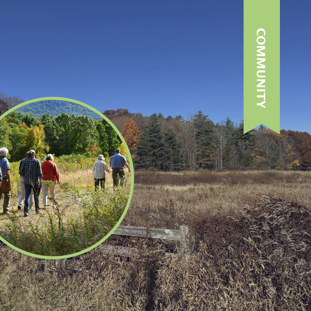 Four Corners Conservation Area Community Input Sessions