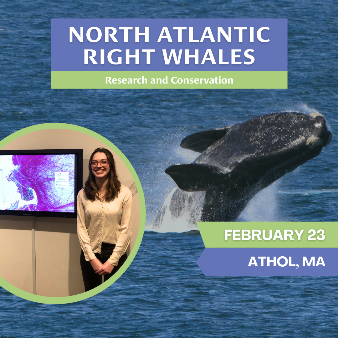 North Atlantic Right Whales: Research and Conservation