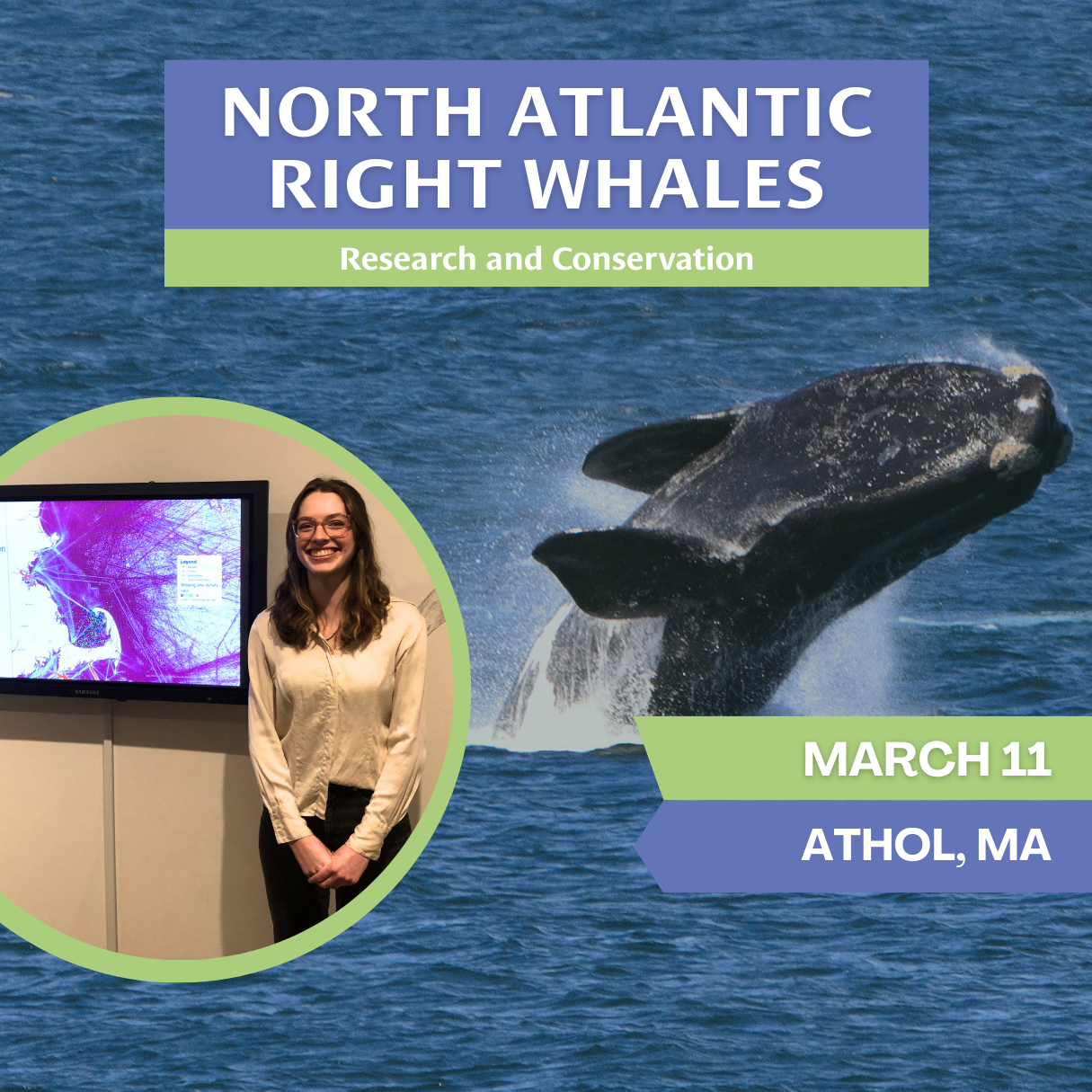 North Atlantic Right Whales: Research and Conservation