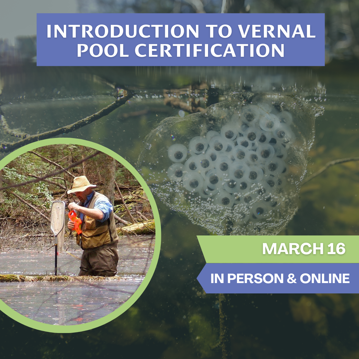 Introduction to Vernal Pool Certification
